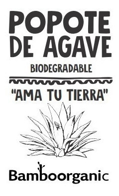 Imagen 2 de 8 de Popotes Biodegradables Mayoreo Agave Caja 4000 Piezas