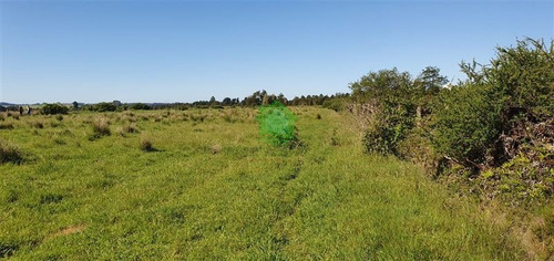 Imagen 5 de 5 de Agricola Venta Las Lomas, Río Maullin Puerto Montt