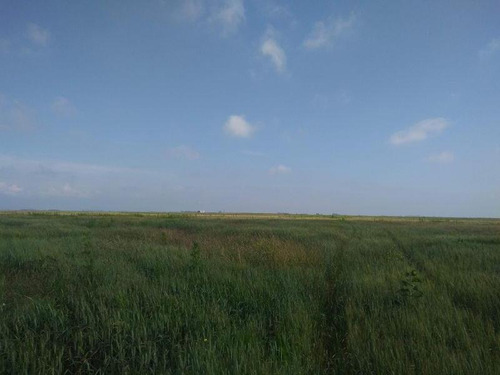 Imagen 2 de 7 de Campo En Venta En Balcarce