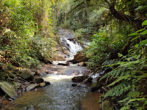 Imagem 12 de 12 de Terreno Em Miracatu-sp Medindo 8 Alqueires Com Cachoeira