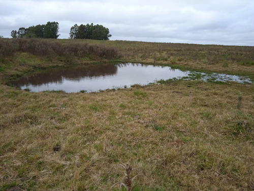 Campo De 23 Hectáreas En Canelones