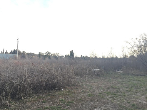 Imagen 11 de 12 de Oportunidad Venta Fracción 2 Hectáreas Villa Esquiu, Córdoba