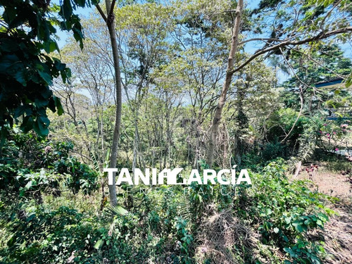 Vendo 2 Lotes En La Trinidad Chica En Córdoba