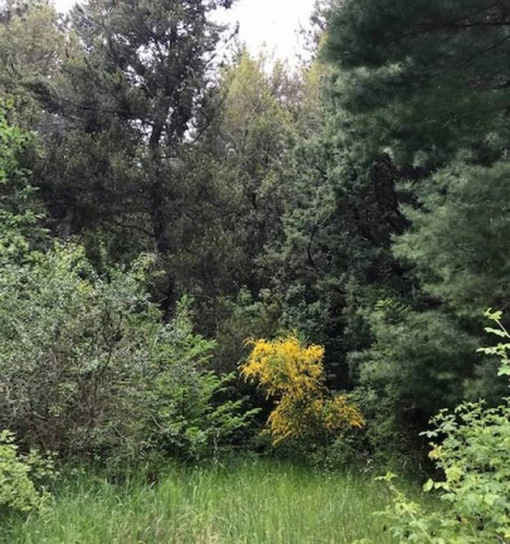 Terrenos O Lotes Venta Villa La Angostura