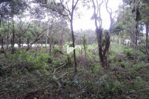 Imagem 5 de 13 de Terreno Para Chácara Com 7000 M² A 4km Do Rodovia
