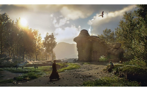 Imagen 6 de 6 de Hogwarts Legacy Deluxe Edition Para Xbox Series X