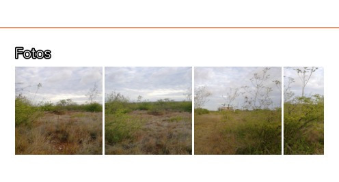 Imagen 2 de 2 de Terreno Venta Av J.b.a Mgta Vzla