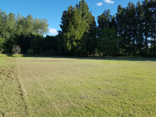 Soñado Lote En Venta Zona Residencial Servicios