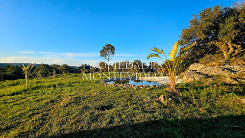 Casa En De Campo En Venta 5 Hectareas - Aigua, Maldonado