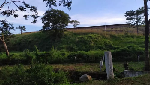 Venta Granja Integral Productiva Avicola Ganadera Y Minera Tinaquillo Edo. Cojedes Negociable Con Financiamiento Jm