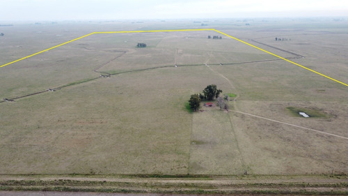 Imagen 19 de 21 de Campo Ganadero En Roque Perez Muy Bien Ubicado A 15 Km Del Asfalto