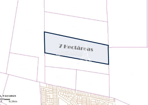7 Hectáreas- Ref: 2978