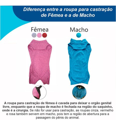 Roupa Para Cachorro Com Proteção Solar Uv 50+ Tam. 11 Ao 16