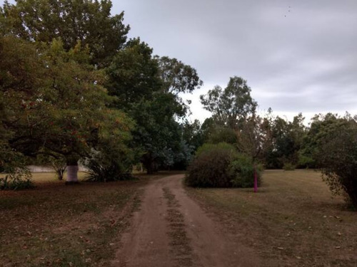 Imagen 6 de 14 de Casa De Campo - Quinta Macondo --- Alojamiento Y Eventos