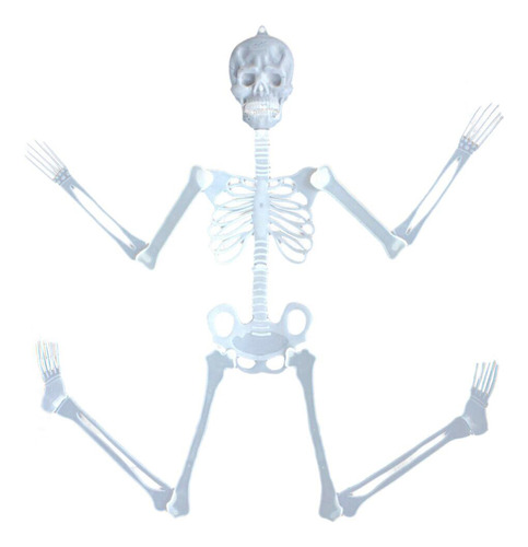 P Luminous Skull Skeleton: Terrorífico Accesorio De Hallowee