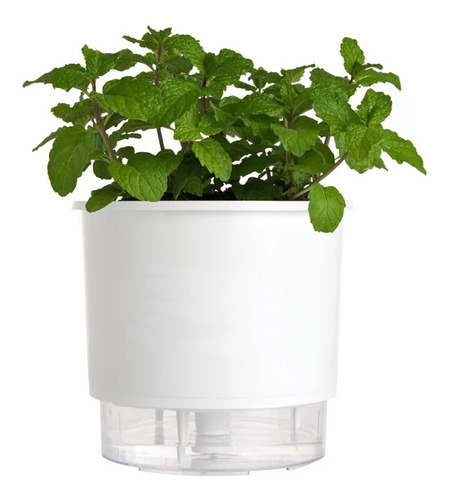 Vaso Raiz Auto Irrigável N3 16x14cm Branco Autoirrigável