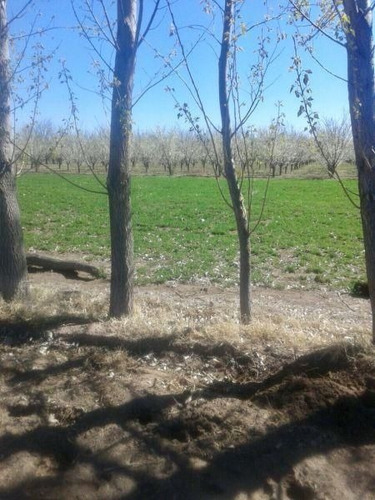 Imagen 11 de 11 de Quinta En Venta En General Alvear