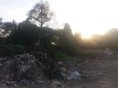 Imagem 5 de 11 de Vende Terreno Br101 Norte - Te0167