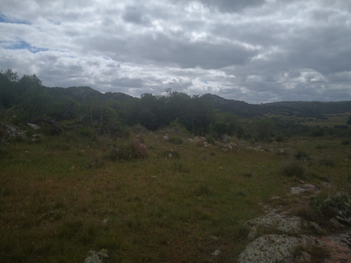 Imagen 5 de 5 de Campo De 10 Hectáreas Ruta 8 Km 129