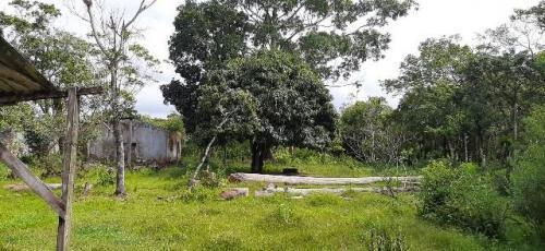 Imagem 10 de 11 de Chácara No Bairro Bopiranga, Em Itanhaém 8368dh