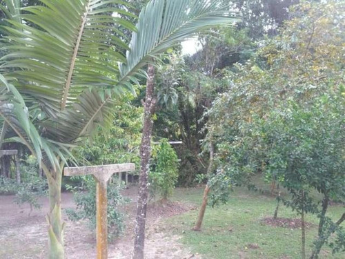 Imagem 30 de 30 de Sitio Em Camboriú - Aceita Permuta Em Balneário Camboriu 15mil M² - T102 - 3285723