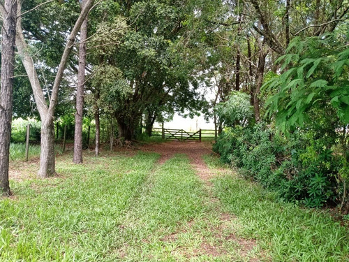 Imagem 26 de 30 de Sítio 23 Alqueires,terra Fértil,muito Boa,rio Fundo Propriedade,benfeitorias Otima Estrutura,casa Sede 3 Dorms 1 Suíte,churrasqueira,piscina - St00050 - 69179656