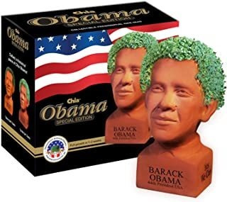 Chia Pet Determined Pose Obama Con Paquete De Semillas, Mace