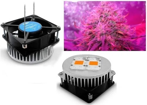 Lampara Led Cultivo Indoor 100w 220v Full Energy