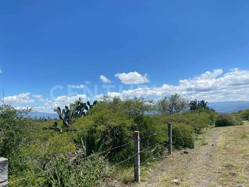 Imagen 17 de 24 de Se Vende Rancho En Hidalgo Para Inversionistas
