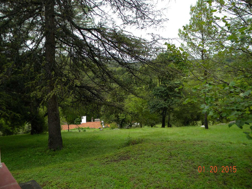 Imagen 21 de 30 de Se Venden 10 Ha En Valle Hermoso Con Servicios