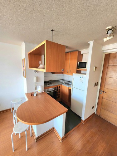 Arriendo Bellas Artes Con Ggcc Incluidos (79580)
