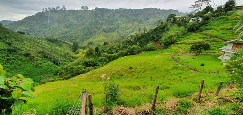Imagen 8 de 15 de Hermosa Finca Muy Cerca A Pereira