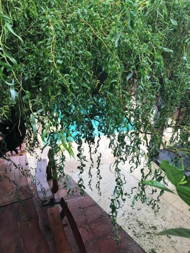 Imagen 4 de 5 de Casa En Venta Cond En Ituzaingo Sur