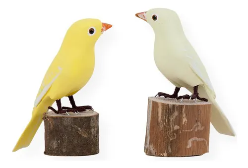 Aves de Madeira: pareja de canarios (21a7)