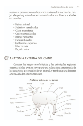 Crianza De Borregos Serie Editorial Trillas