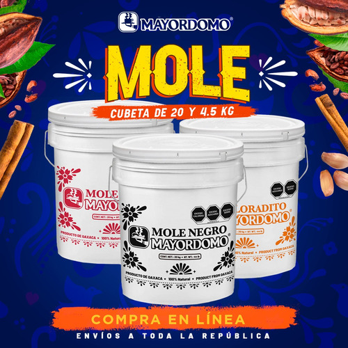 Mole Rojo Oaxaqueño Mayordomo 4.5kg Cubeta