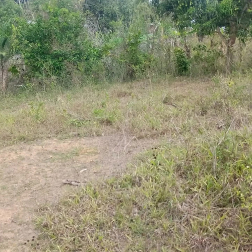 Se Vende Finca En Monte Plata 