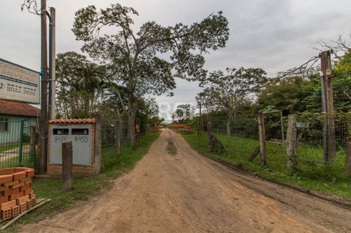 Terreno Em Ponta Grossa - El56354700