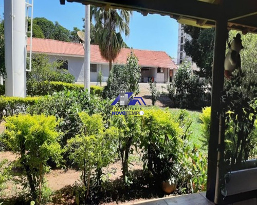 Imagem 6 de 20 de Sitio Com 4.8 Hectares, Em Uma Das Melhores Localizações De Araçatuba ! - St00011 - 70451109