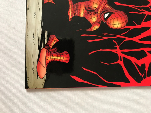 El Hombre Araña Spiderman #111 Marvel Comics Edit. Vid 2003 (Usado)