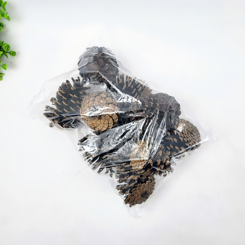 Pinha Natural Marrom Impermeabilizada - Kit 10un