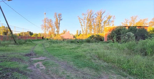 Imagen 2 de 4 de Lote De 225 M² En Bº Las Margaritas - Pilar