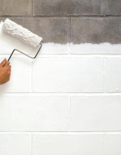 Watertite Pintura Impermeable Antihongo Y Moho 3,78l Zinsser