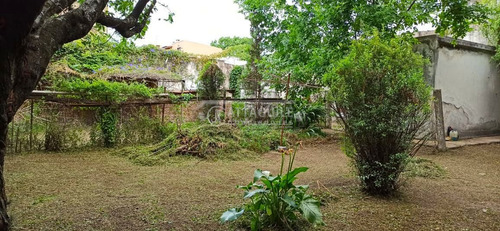 Imagen 8 de 17 de Local En Venta En San Antonio De Padua