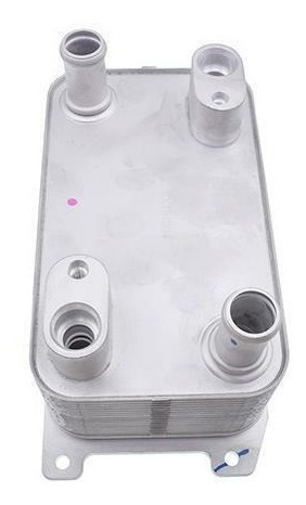 Enfriador De Motor Para Audi A8 4e 4e0317021e 03-10