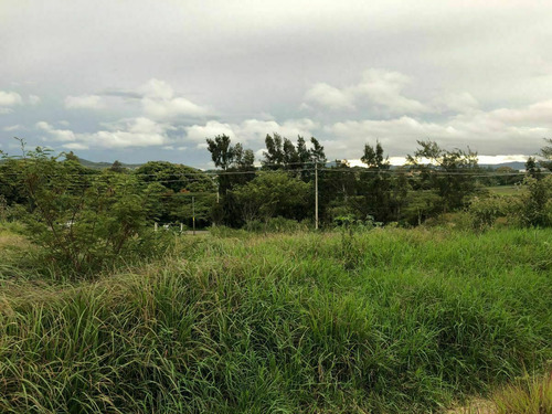 Terreno En Renta En Comitan