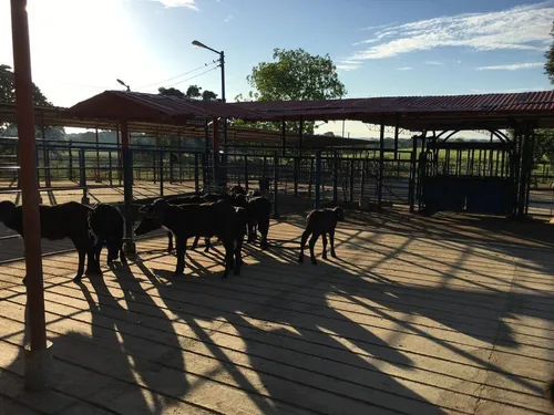 Finca Hato San Jose