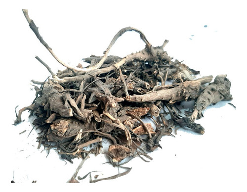 Raiz Equinacea 100 Gramos