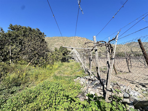 Agrícola En Venta En Vicuña