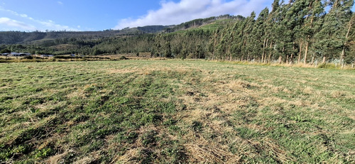 Terrenos Desde Los 5.000mts2 En Cañete